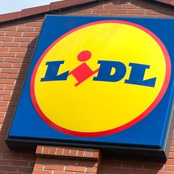 Zum Schnäppchenpreis: Mit diesem Werkzeugkoffer von Lidl bist du auf alles vorbereitet 