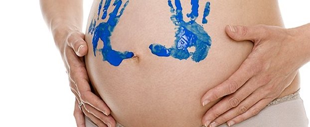 Schwangerschaftswissen zum Angeben