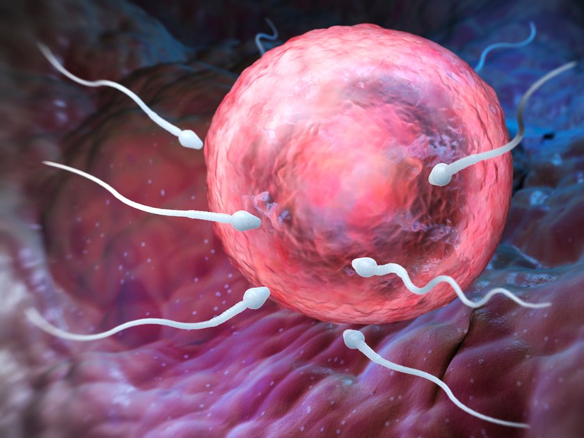 Fruchtbarkeitsmythos 15: Gleitgel ist schädlich für Spermien