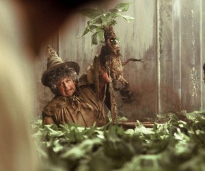 Harry Potter Lehrer-Quiz: 18 knifflige Fragen zu Snape, Sprout und Co.!