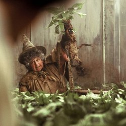 Quiz: Wie gut kennst du die Harry-Potter-Lehrer? Nur echte Fans schaffen alle 18 Fragen!