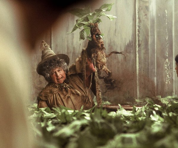 Welcher Harry Potter Charakter Bin Ich Test Test: Welcher Harry Potter Charakter bin ich?