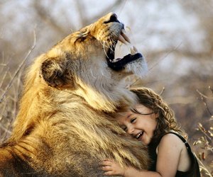 Wo leben Löwen? Die Heimat des Königs der Tiere