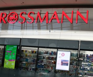 Bären-Fans schnappen sich diesen knuffigen Digitaltimer von Rossmann