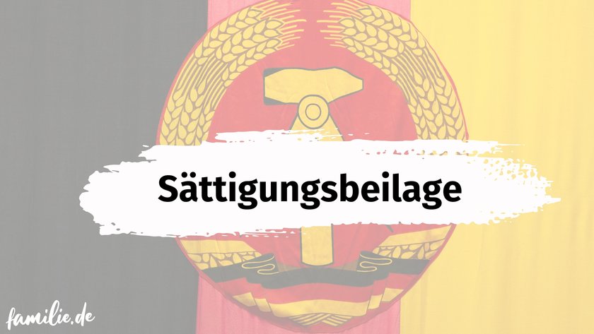 Witzige DDR Begriffe - Sättigungsbeilage