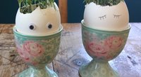 Frühlings-Upcycling: Lustige Kresse-Eier-Köpfe