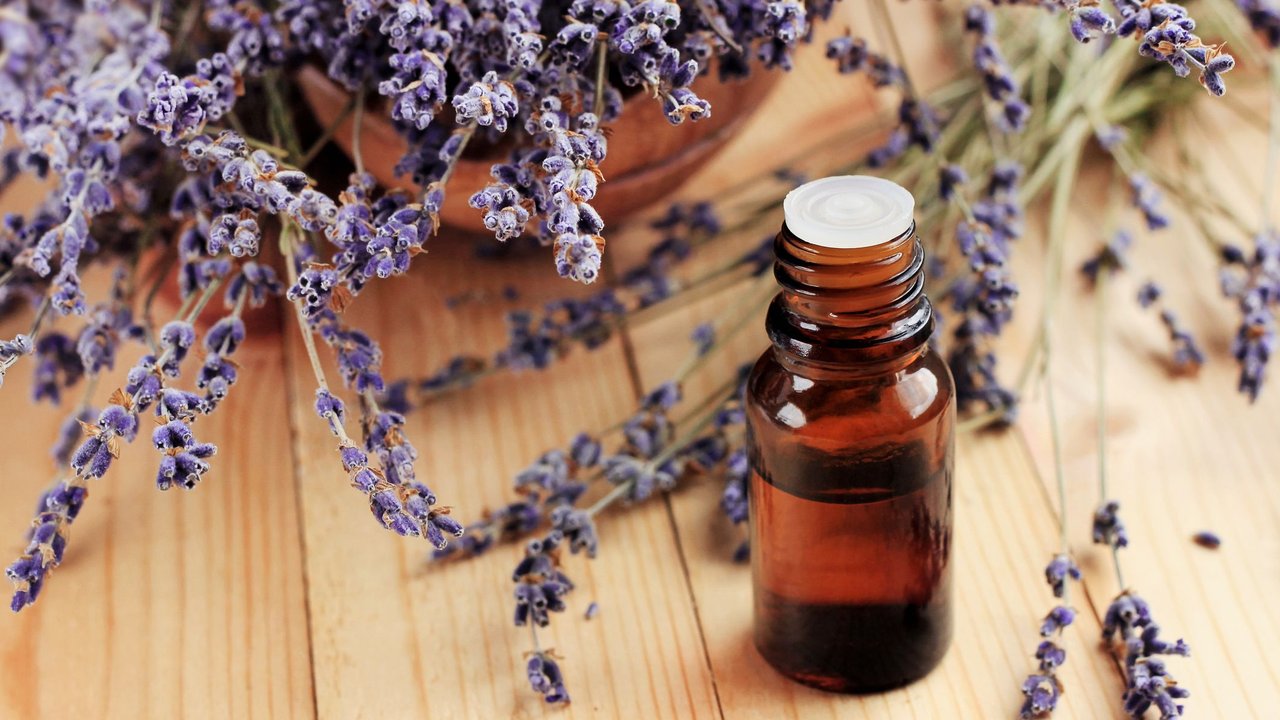 Lavendelöl Schwangerschaft: Lavendelblüten und ätherisches Öl