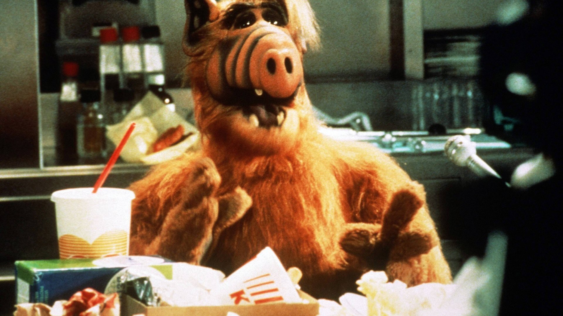 "Null Problemo!" 15 coole AlfSprüche aus der KultSerie der 80er