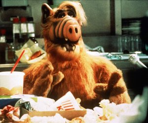 Alf-Sprüche: Die 15 witzigsten Zitate des coolen Außerirdischen