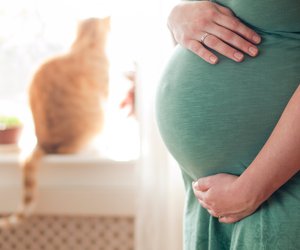 Die Katze war's: Mann gibt Katze Schuld an Schwangerschaft seiner Frau
