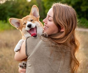 Das ist das perfekte Haustier für dein chinesisches Tierkreiszeichen