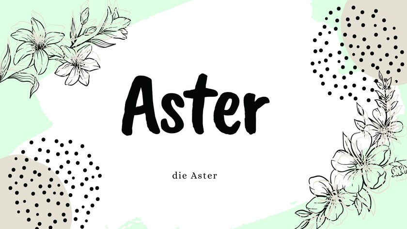 Namen, die Blume bedeuten: Aster