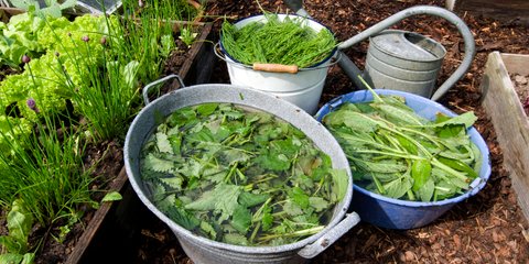 Saure Milch verwerten: ein echtes Multitalent