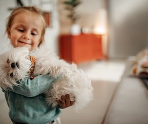 Warum bellen Hunde? Kurz und einfach erklärt