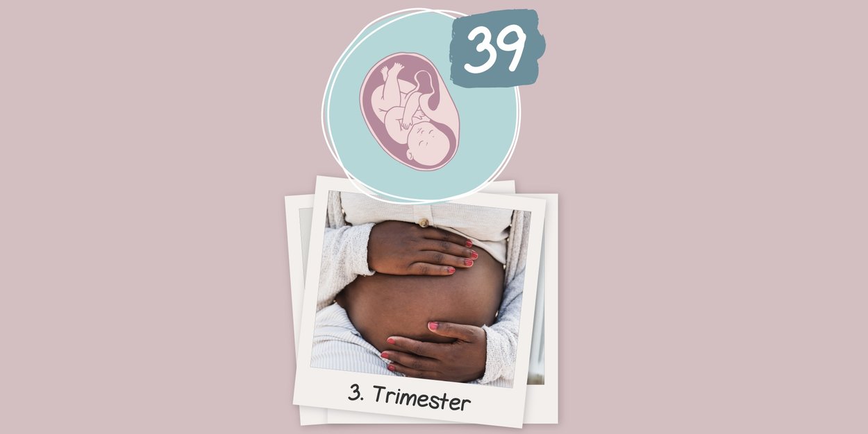 Ab Wann 3 Trimester Ssw www.familie.de