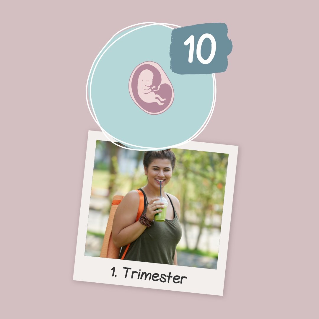 10. SSW - Was passiert in der 10. Schwangerschaftswoche?
