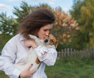 Unsere Fellnasen: Wie alt werden Jack Russel Terrier?