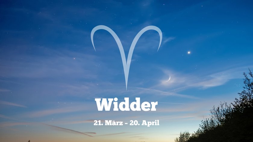 Widder