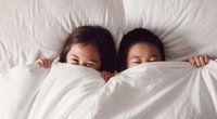 Bettwanzen-Bisse und Flohbisse: Unterschied erkennen