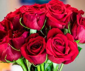Geschenk zum Valentinstag: 25 schöne Ideen für die große Liebe