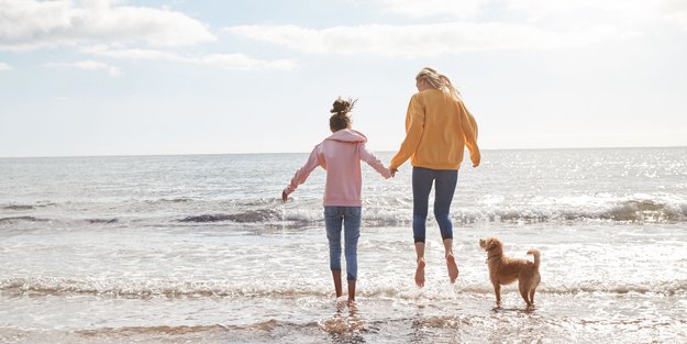 Abenteuer am Strand: Die besten deutschen Hundestrände für deinen vierbeinigen Freund