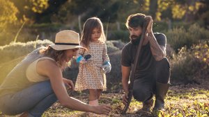 Gartenarbeit im Mai: Diese Gemüsesorten müssen jetzt unter die Erde