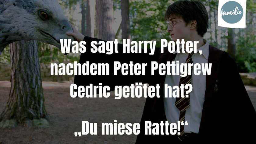 Harry Potter Ratte