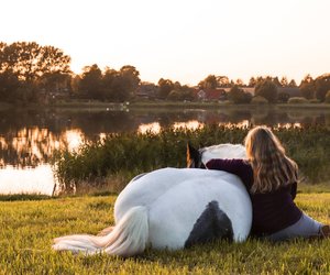 Kinderserien mit Pferden: Da schlagen Kinderherzen höher