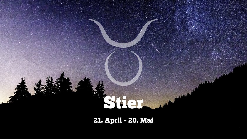 Stier