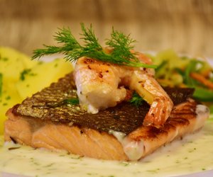 Rotbarsch und Schwangerschaft: Ist der Fisch unbedenklich?