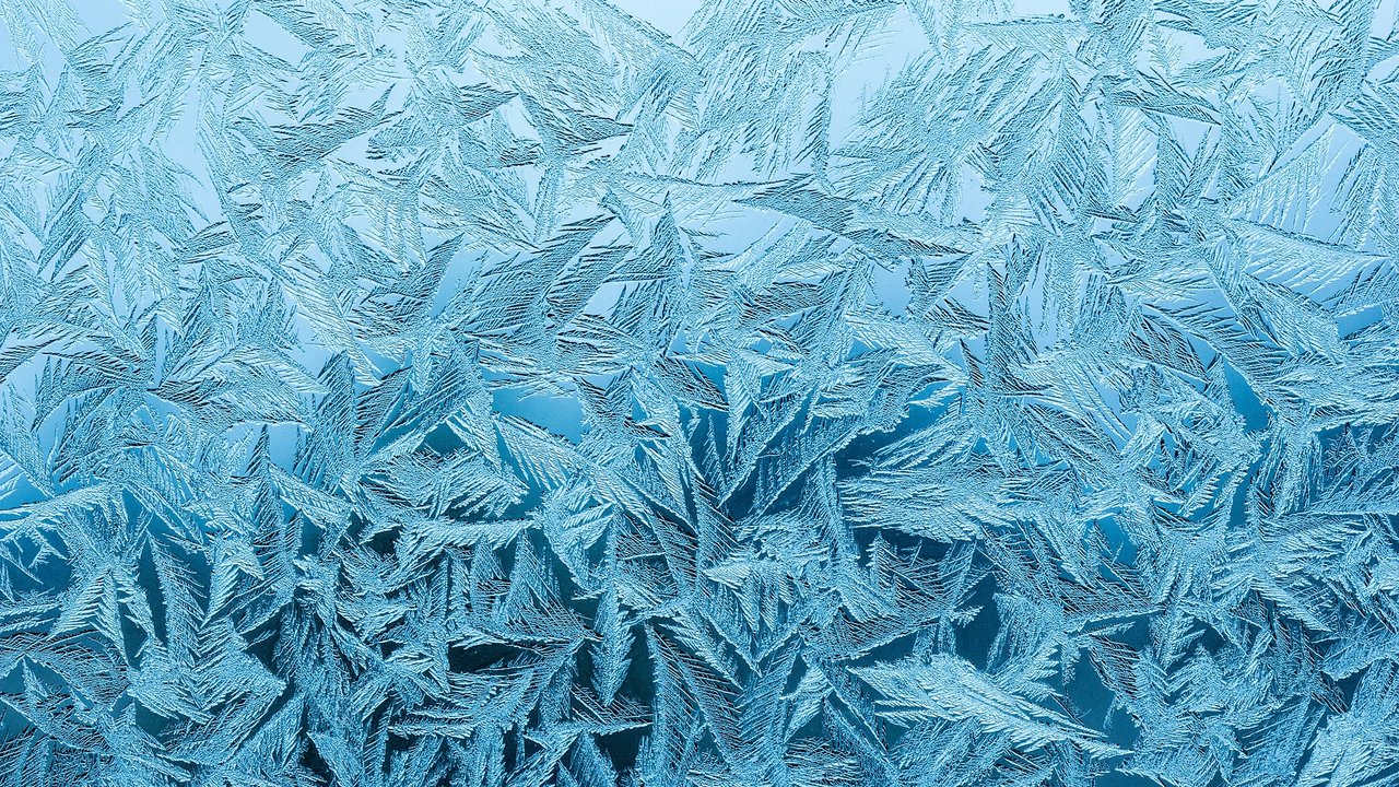 Haben sich Eisblumen auf den Autoscheiben gebildet, musst du zum Eiskratzer greifen.  