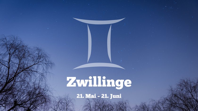 Zwillinge