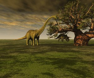 Der Hals dieses Dinosauriers war unglaubliche 15 Meter lang