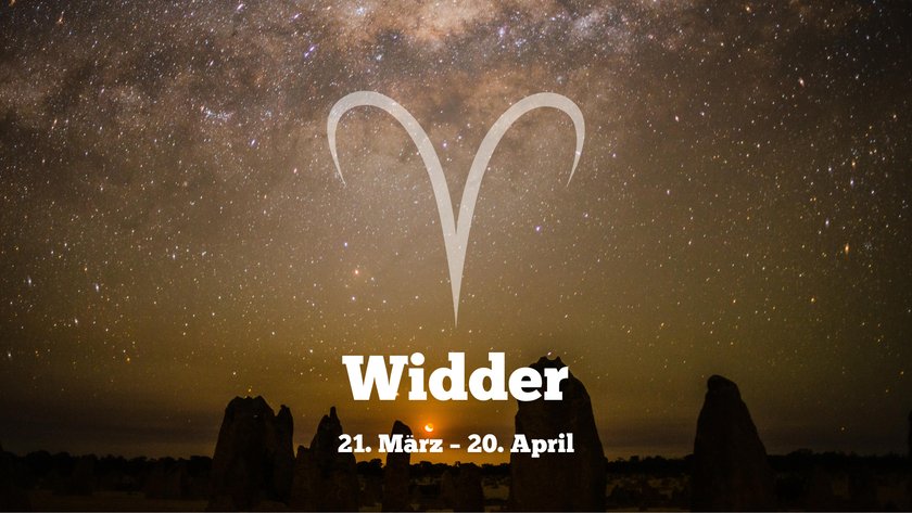 Widder