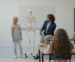 Woraus bestehen Knochen? Einfach erklärt