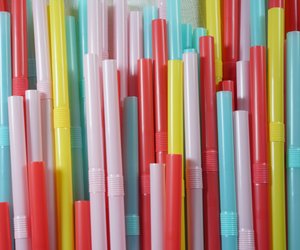 Wer hat Plastik erfunden? Einfach für Kinder erklärt