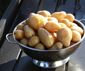 Pellkartoffeln schälen: Mit diesem Trick geht es ganz leicht