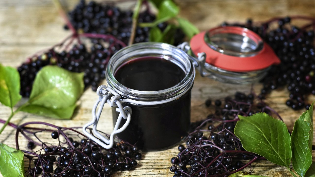 Holunderbeeren vor dem Einkochen