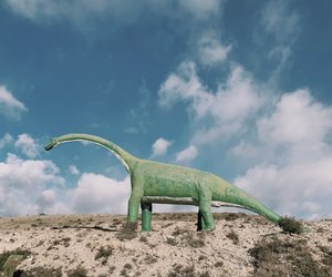 Wie alt wurden Dinosaurier? Das war ihre Lebenserwartung