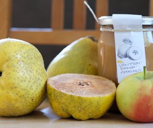 Geheimtipp von Omi: So werden Quitten richtig eingekocht