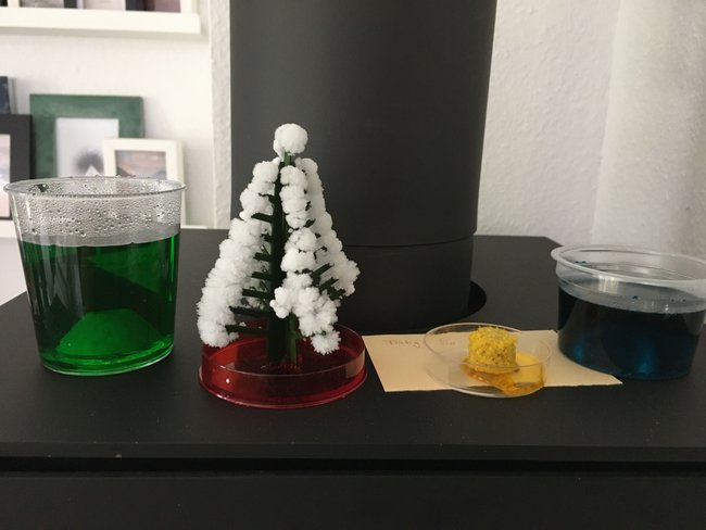 Kristalle züchten: Salzkristalle in Form eines Tannenbaums stehen neben Gefäßen mit farbigen Flüssigkeiten