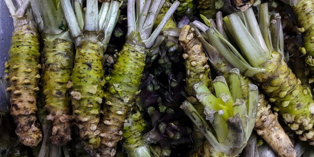 Wasabi und Stillen: Ist das grüne Gewürz in der Stillzeit bekömmlich?