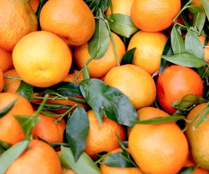 Haltbarkeits-Check: Wie lange sind Orangen haltbar?