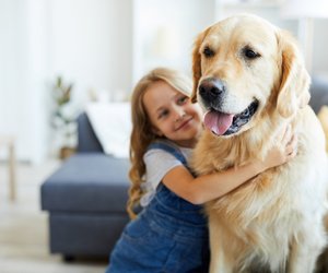 Tierreich: Zeig im Quiz, ob du weißt, wie alt diese Tiere werden