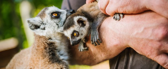 Diese 11 Familienparks in Thüringen lohnen sich richtig