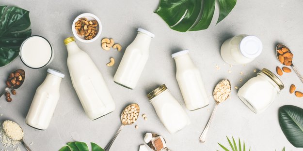 Milch­alternativen Test: So schmeckt vegane Milch wirklich