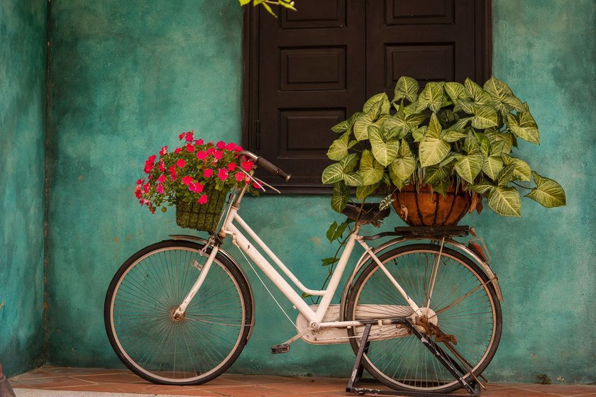 Gadgets fürs Fahrrad: Blumenkorb