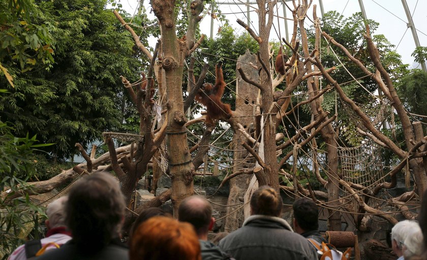 Tierpark Hagenbeck