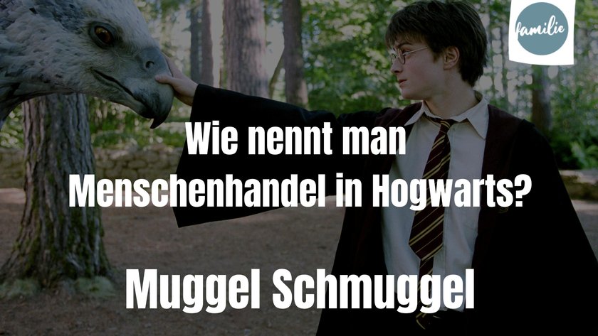 Harry Potter Witz Muggel Schmuggel