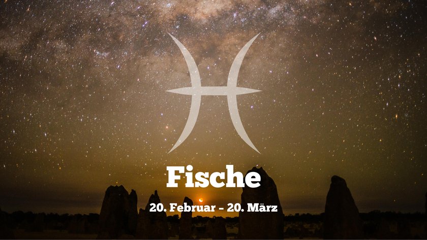 Fische